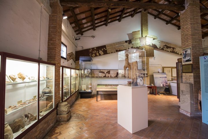 Il museo del mare, l'Antiquarium di Pyrgi e i templi dell'area sacra