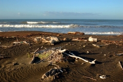 DSC_7051-720x480
