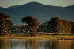 foto-1-720x480
