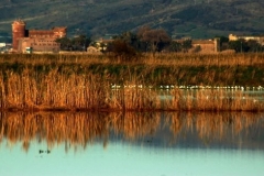foto-2-720x480