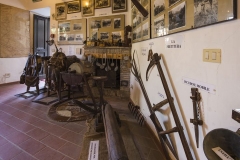 IMG_7760-720x480