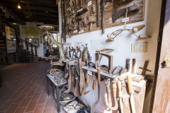 IMG_7766-720x480