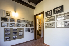 IMG_7770-720x480