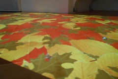Fotogallery-1