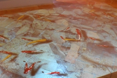 Fotogallery-5