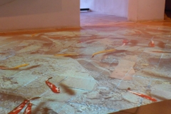 Fotogallery-6