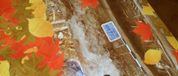 Fotogallery-2