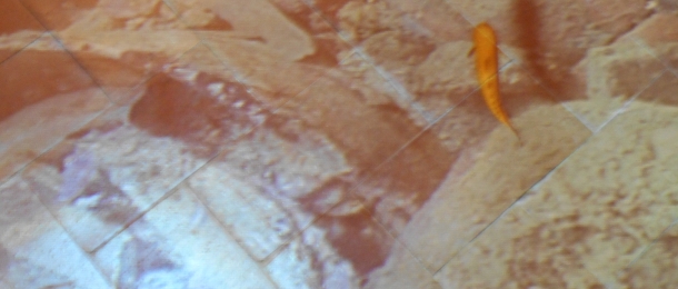 Fotogallery-7
